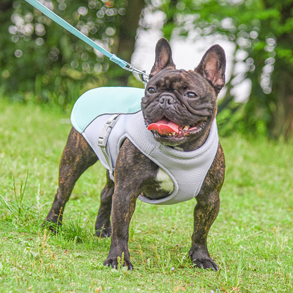 ChillWell Cool Pet Vest