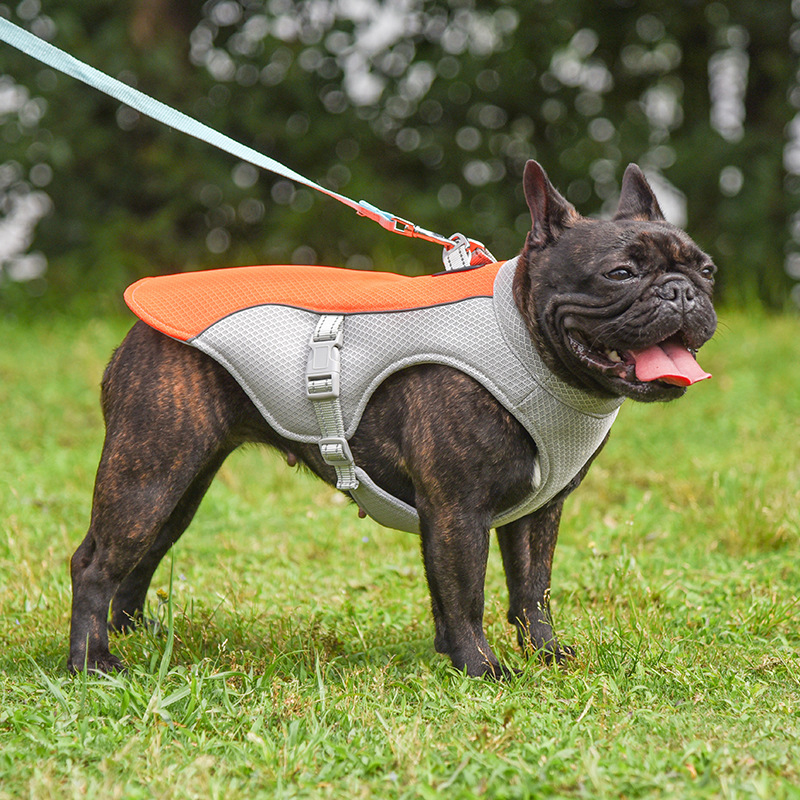 ChillWell Cool Pet Vest