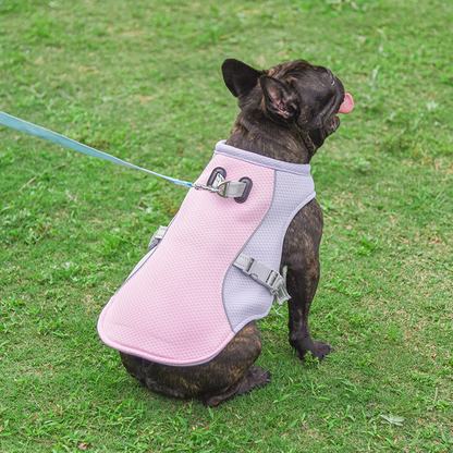 ChillWell Cool Pet Vest